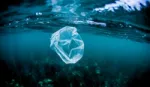 A plastic bag underwater